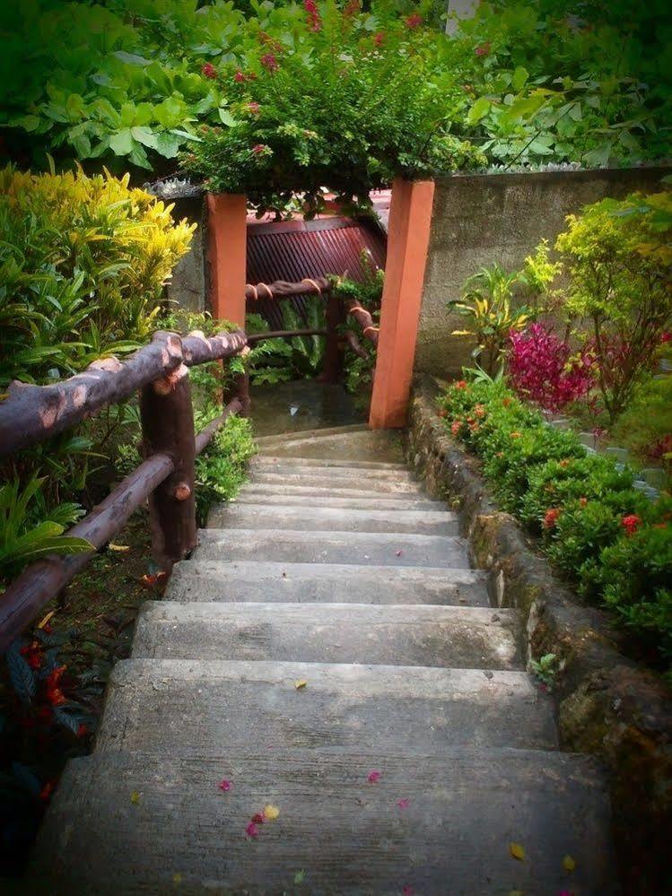 Hilltop Cottages 罗博 外观 照片